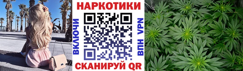 Купить закладку Тында МЕТАДОН Конопля Кокаин Alpha PVP блэк спрут ссылка Псилоцибиновые грибы