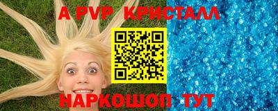 дживик Тара