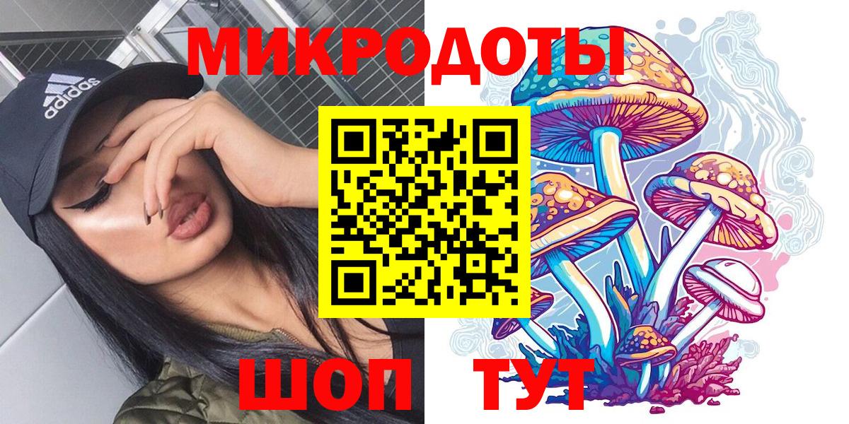 Тында  Псилоцибиновые грибы Psilocybine cubensis  Вход с VPN 